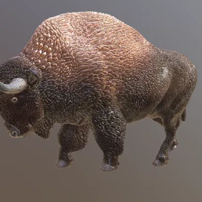 Mô hình 3D Bò rừng Thảo nguyên (Steppe Bison) phiên bản chi tiết