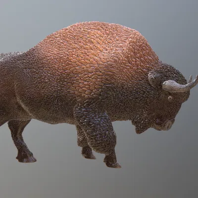 Mô hình 3D Bò rừng Thảo nguyên (Steppe Bison) phiên bản chi tiết