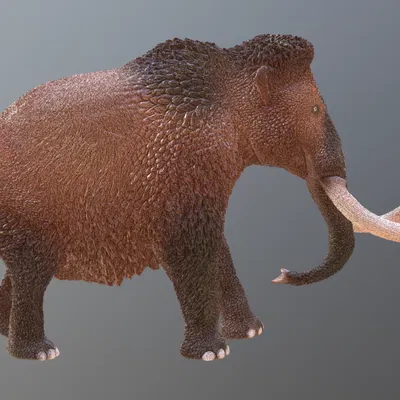 Mô hình Voi ma mút Jarkov cải tiến (Revised Mammoth) chất lượng cao