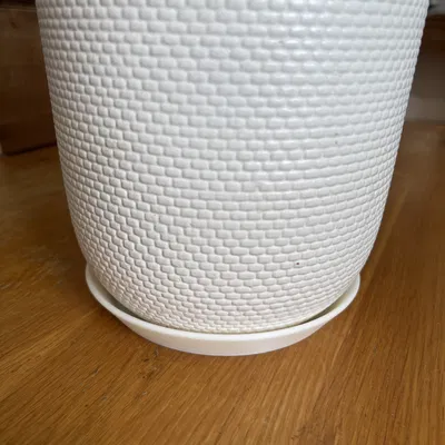 Đĩa lót chậu cây (Plant pot saucer) in 3D tiện dụng cho gia đình