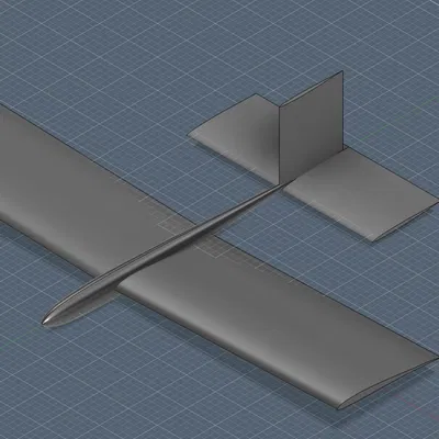 Tàu lượn mô hình hiệu suất cao (High-Performance Free-Flight Glider)