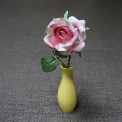 Bình hoa hít nam châm (Magnetic Vase)