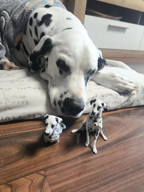 Mô hình chú chó Dalmatian - Image 1