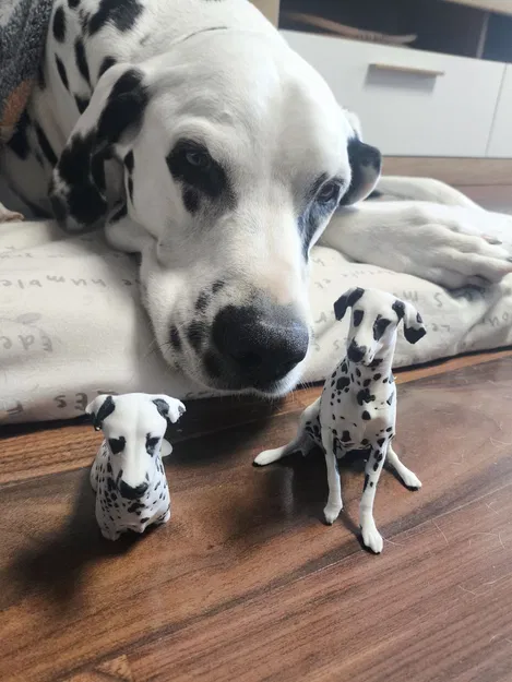 Mô hình chú chó Dalmatian - Image 6