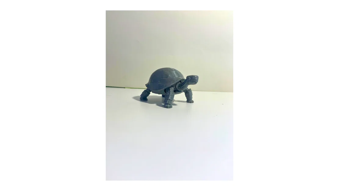 Robot Rùa - Image 1