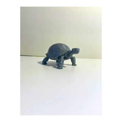Robot Rùa