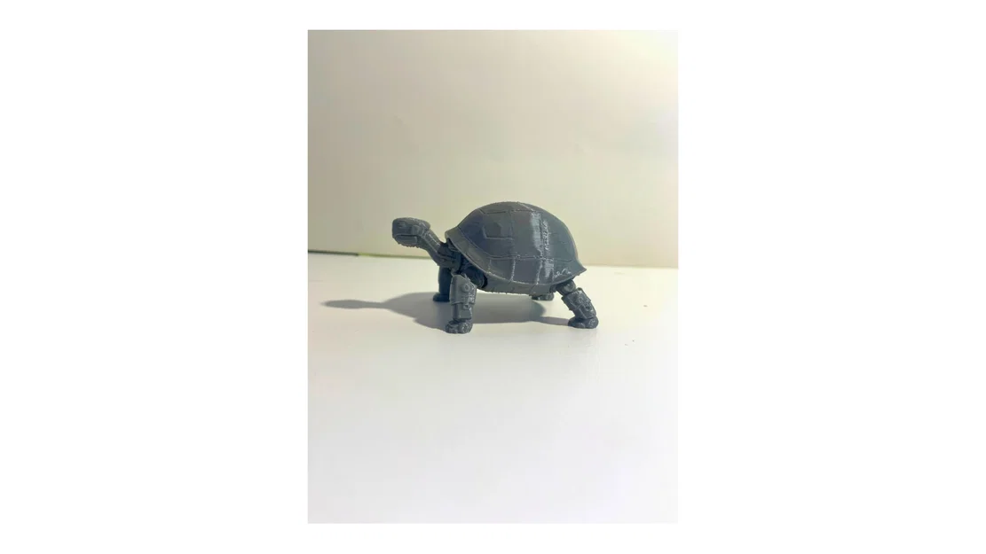 Robot Rùa - Image 2