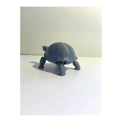 Robot Rùa