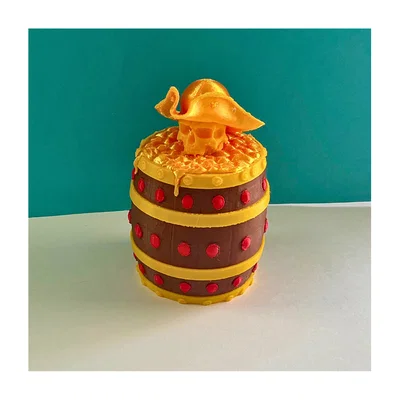 Pirate coins - Đồng xu hải tặc