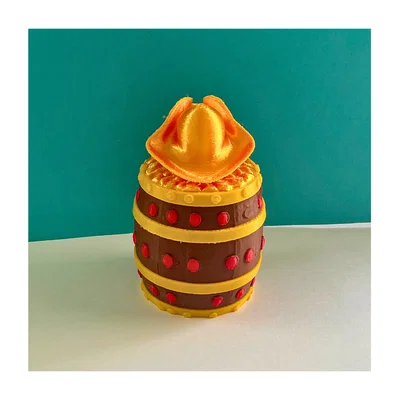 Pirate coins - Đồng xu hải tặc
