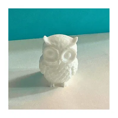 Chú cú đáng yêu (Cute owl)