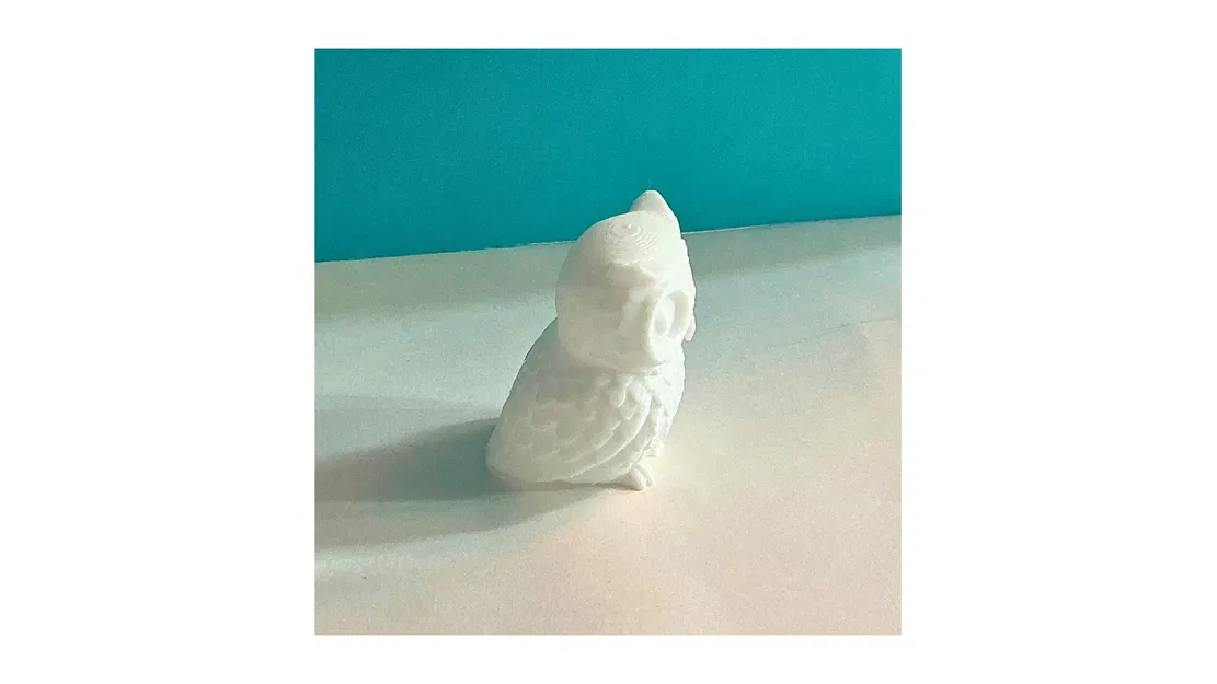 Chú cú đáng yêu (Cute owl) - Image 2