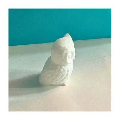 Chú cú đáng yêu (Cute owl)