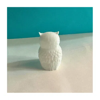 Chú cú đáng yêu (Cute owl)