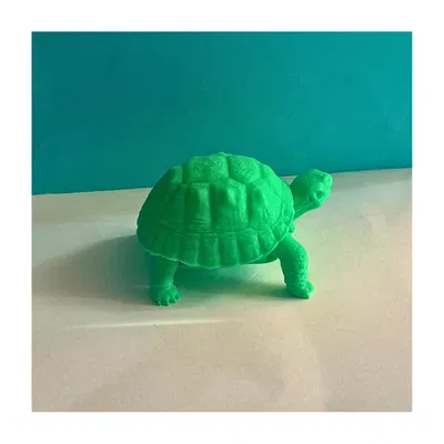 Mô hình chú rùa 3D (Tortoise)