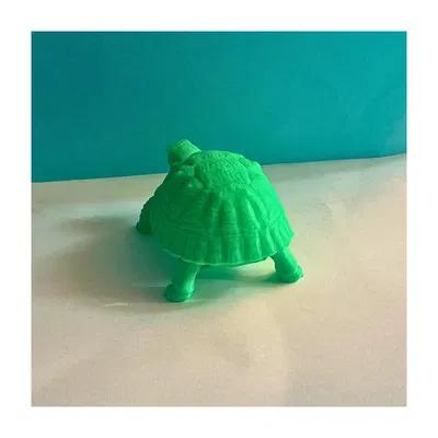 Mô hình chú rùa 3D (Tortoise)