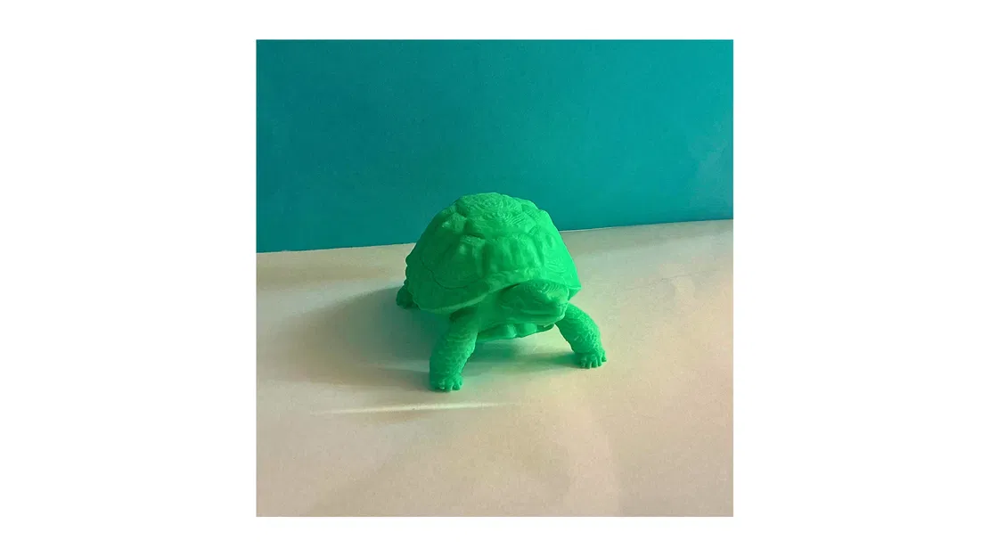 Mô hình chú rùa 3D (Tortoise) - Image 3