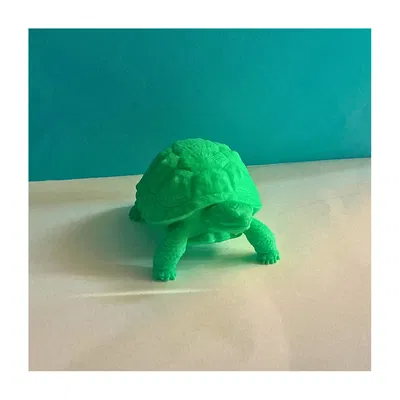 Mô hình chú rùa 3D (Tortoise)