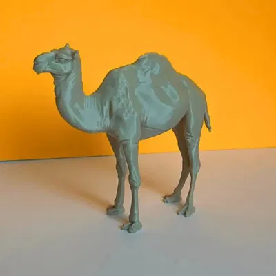 Mô hình 3D Lạc đà sa mạc (Desert Camel)