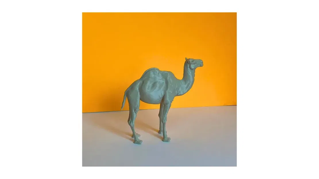 Mô hình 3D Lạc đà sa mạc (Desert Camel) - Image 2