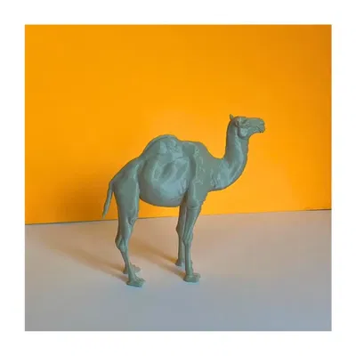 Mô hình 3D Lạc đà sa mạc (Desert Camel)
