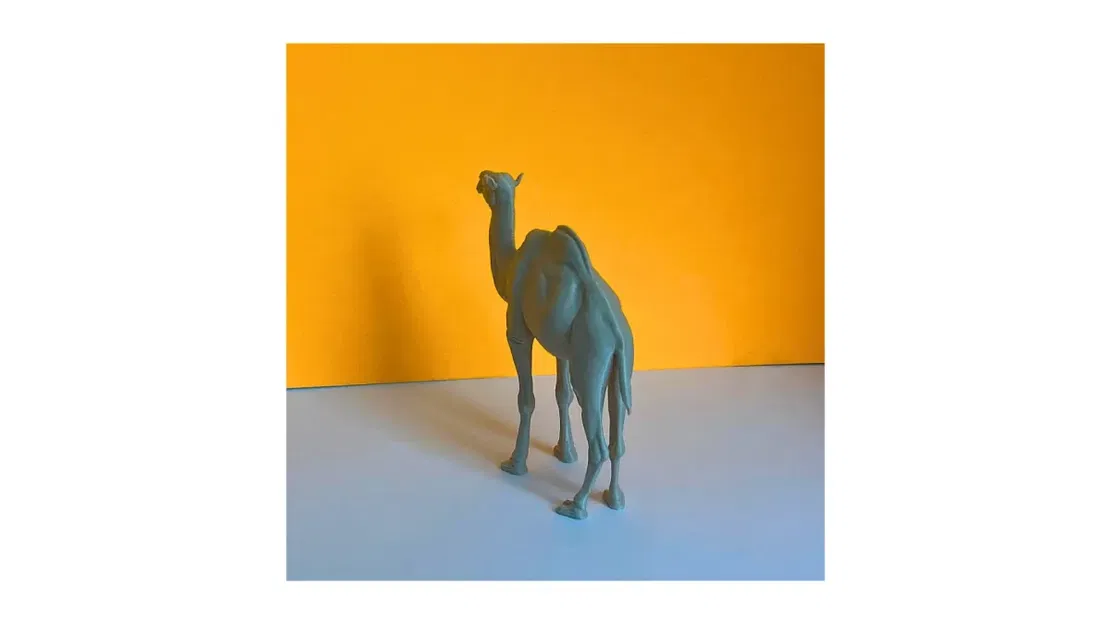 Mô hình 3D Lạc đà sa mạc (Desert Camel) - Image 3