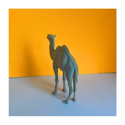 Mô hình 3D Lạc đà sa mạc (Desert Camel)