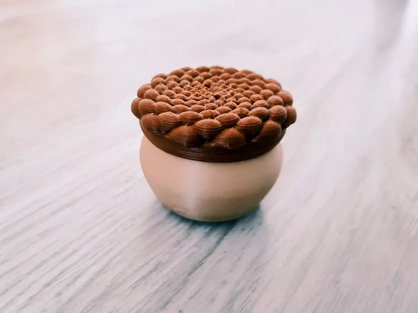 Phyllotaxis Pod - Hộp Đựng Đồ Có Khóa Xoay Độc Đáo - Image 1