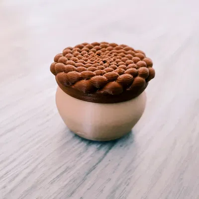 Phyllotaxis Pod - Hộp Đựng Đồ Có Khóa Xoay Độc Đáo