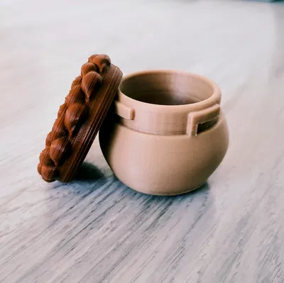 Phyllotaxis Pod - Hộp Đựng Đồ Có Khóa Xoay Độc Đáo