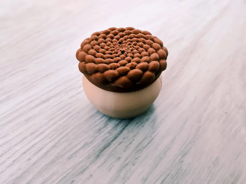 Phyllotaxis Pod - Hộp Đựng Đồ Có Khóa Xoay Độc Đáo - Image 3