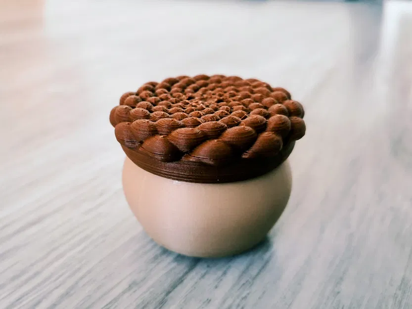 Phyllotaxis Pod - Hộp Đựng Đồ Có Khóa Xoay Độc Đáo - Image 4