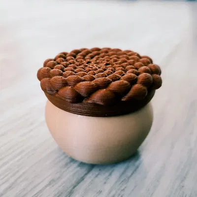 Phyllotaxis Pod - Hộp Đựng Đồ Có Khóa Xoay Độc Đáo