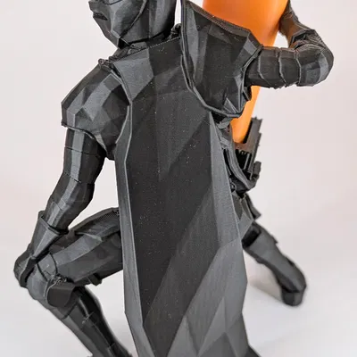 Hiệp sĩ cầm "Thanh Kiếm Duy Nhất" (Knight of the One Blade)