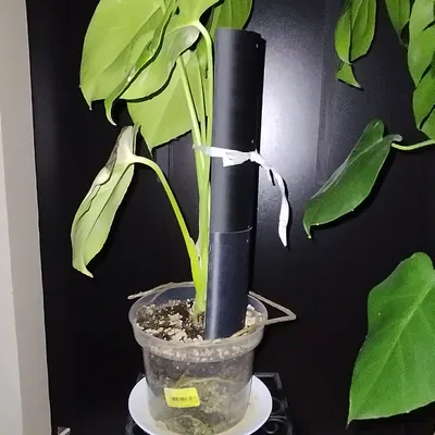 Khung đỡ cây dạng tổ ong lắp ghép - Giữ cây của bạn luôn đứng thẳng!