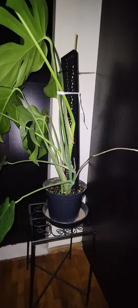 Khung đỡ cây dạng tổ ong lắp ghép - Giữ cây của bạn luôn đứng thẳng! - Image 2