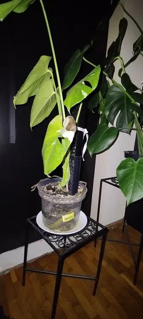 Khung đỡ cây dạng tổ ong lắp ghép - Giữ cây của bạn luôn đứng thẳng! - Image 3