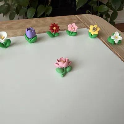 Mô hình 3D cây hoa Mộc Lan (Magnolia) thực tế