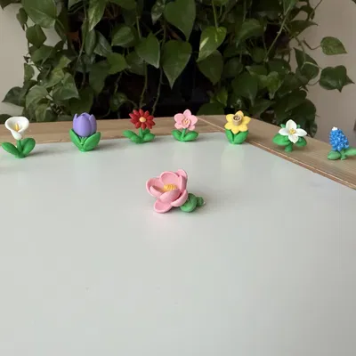 Mô hình 3D cây hoa Mộc Lan (Magnolia) thực tế