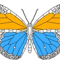 Mô hình bướm đa sắc (Multicolor Butterfly) in 3D nghệ thuật - Thumbnail 2