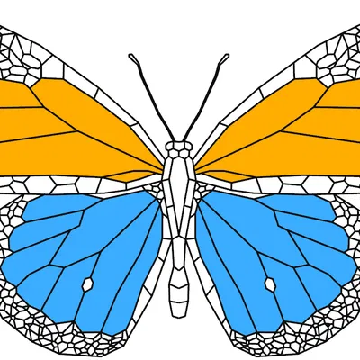 Mô hình bướm đa sắc (Multicolor Butterfly) in 3D nghệ thuật