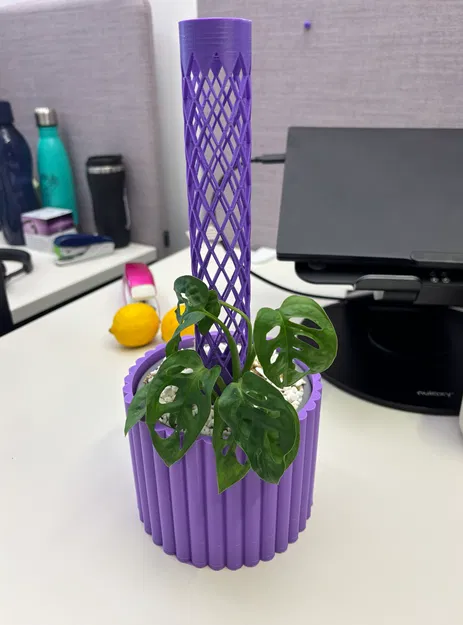 Bộ Trụ Rêu và Chậu Cho Cây Monstera - Image 1