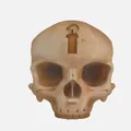 Mô hình 3D đầu lâu Grunt Birthday Skull từ Halo - Thumbnail 1