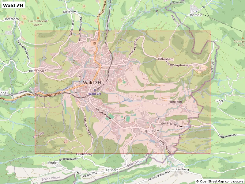 Mô hình địa hình thu nhỏ Wald ZH, Thụy Sĩ - In 3D - Image 9