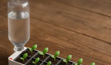 Hydro Planter: Chậu trồng cây thủy canh tự cấp nước thông minh - Image 1