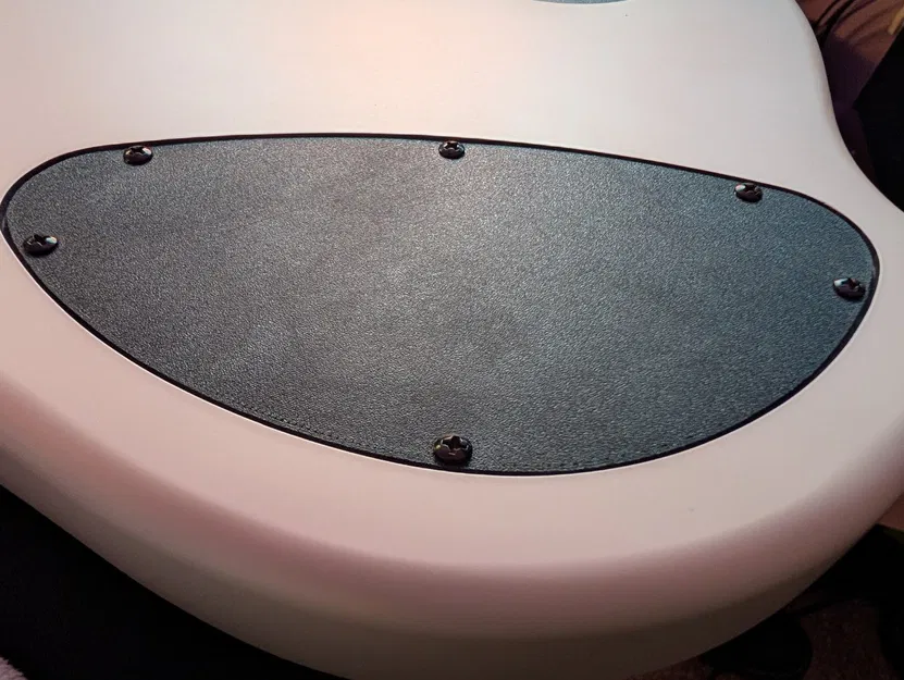 Nắp đậy khoang điều khiển cho Dingwall NG-3 - Image 1