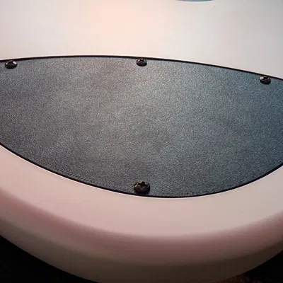 Nắp đậy khoang điều khiển cho Dingwall NG-3