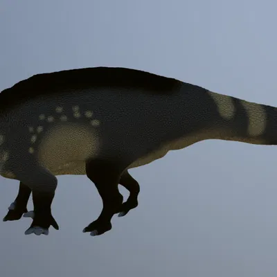 Mô hình in 3D khủng long Comptonatus - Đồ chơi và trưng bày độc đáo