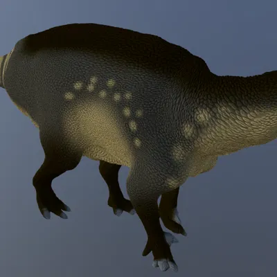 Mô hình in 3D khủng long Comptonatus - Đồ chơi và trưng bày độc đáo