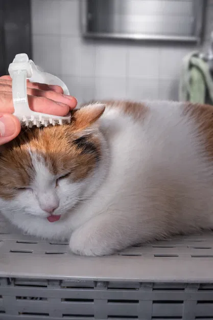 Lược chải lông thú cưng (Fellbürste) - Image 1